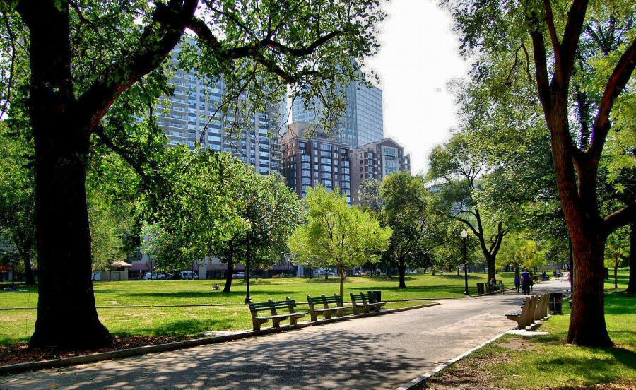 Boston Public Gardens