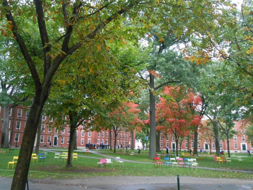 Boston Harvard