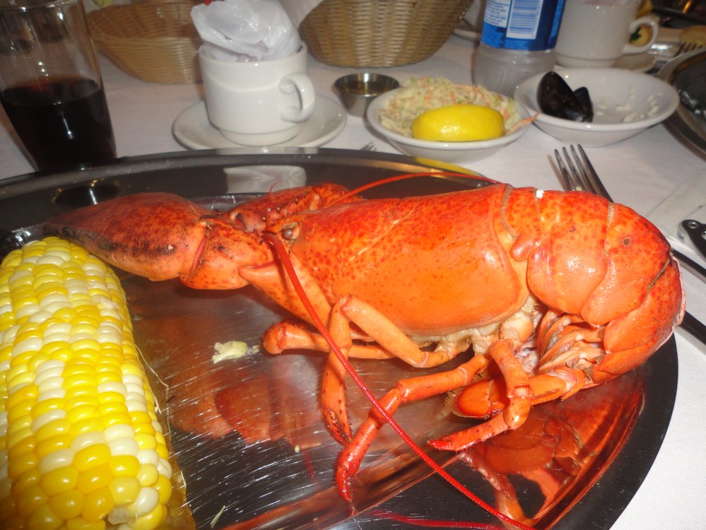 Halifax Langosta 2