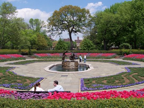 North Garden May 2005- Early